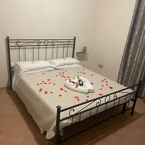 Tommy House 19 Focene